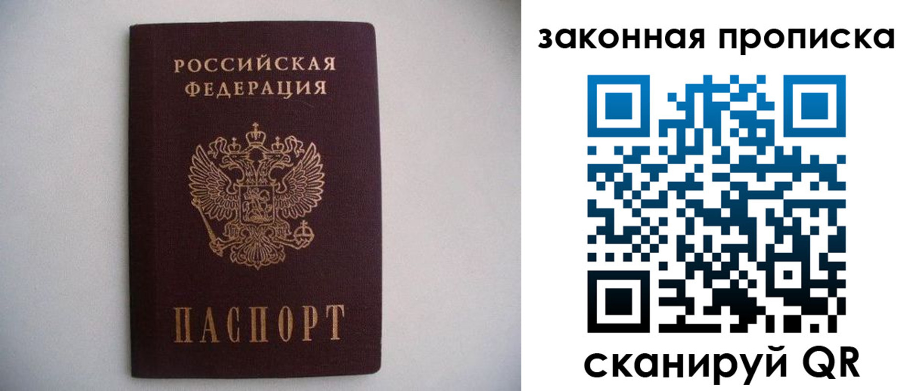 прописка законно в Калининграде